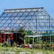 Green House