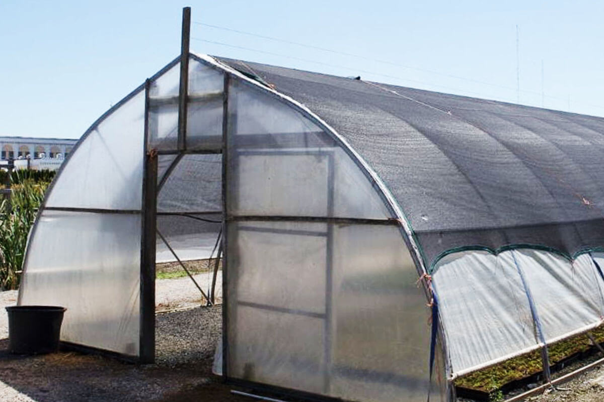 Green House Roof Materials 6: Shade Cloth or Netting