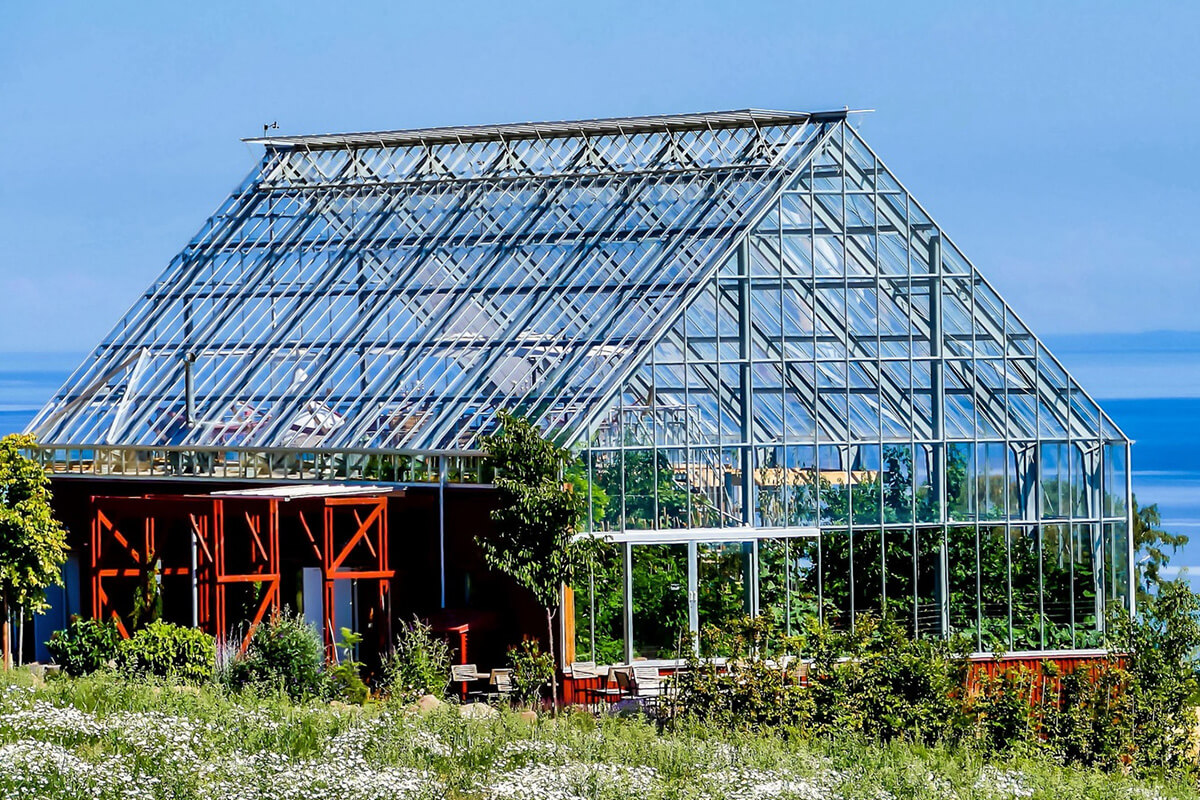 Green House