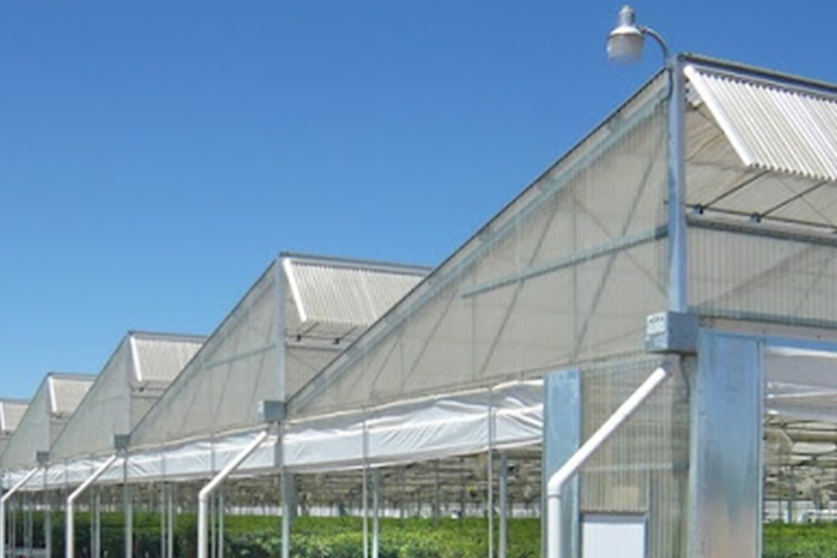 Sawtooth Roof