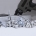 Self-Drilling Screw Manufacturer_BDN FASTENERS-Made in Taiwan